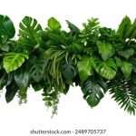 老域名全部失效请记好新域名 1duk1d78w