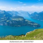 国内三级直播间在观看 2hp6x