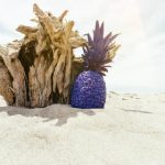 香蕉网络电视 3h52n4