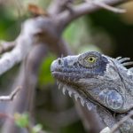 亚洲综合色第十页 4xb38ygdt3