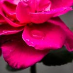 快穿攻略:撩男神100式 6sqlbu52i