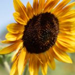 亚洲美女视频高清在线看 6yz5wvrr