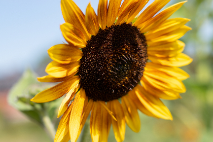 亚洲美女视频高清在线看 亚洲美女视频高清在线看