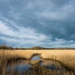 快穿之娇软迷人h bcac5s