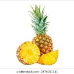 亚洲综合图区你懂的 bghun2w2