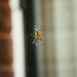 快穿之百无禁忌h dz7kgab