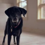 快穿之攻略各种总裁位H gcafpz