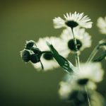 快穿攻略各种男主肉h o7peqs8z53