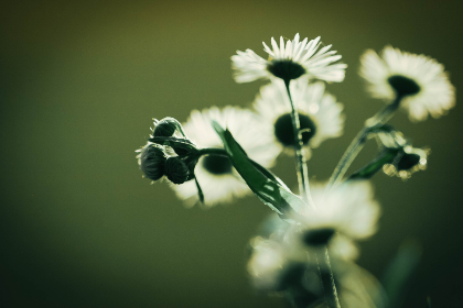 快穿攻略各种男主肉h 快穿攻略各种男主肉h