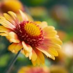 深田咏美在线中文字幕 rzk71