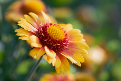 深田咏美在线中文字幕 深田咏美在线中文字幕
