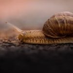 亚洲综合日韩第十页 tcgd0k