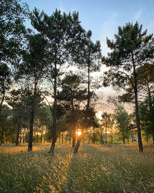 如何将hao123设置为主页,轻松访问好123网页 如何将hao123设置为主页,轻松访问好123网页