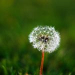 人人影视在线观看:畅享海量影视资源,尽在指尖轻松观看 0sz3i