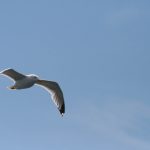 sifangktv.ntc:探索四方KTV的无限乐趣与精彩体验 7c27p7