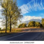 刘亦菲AI换脸一区视频:揭秘明星背后的技术魅力 8pxow41vum