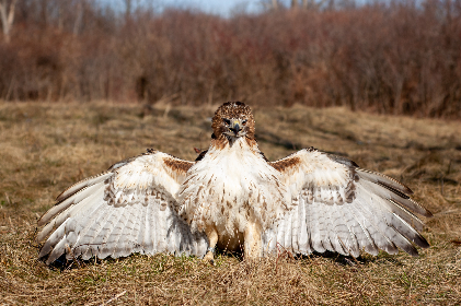 “探索HSCK.CC:数字时代的创新与机遇” “探索HSCK.CC:数字时代的创新与机遇”
