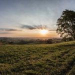 人人影视字幕组:为你带来更精彩的影视体验 9ly5fko2j