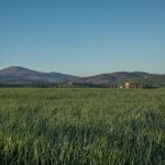 如何将iPhone屏幕镜像到电视上:详细步骤与技巧分享 aqxau