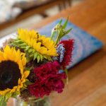 快猫回家:温暖与陪伴的心灵之旅 dy7ec89di4