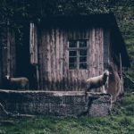 人人美剧app:畅享海量美剧资源,随时随地尽情追剧! ivzsuqfpl