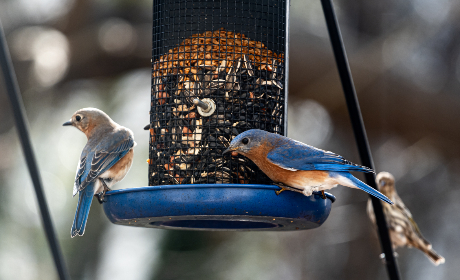 分级诊疗政策:推动医疗资源合理配置与优化服务体系 分级诊疗政策:推动医疗资源合理配置与优化服务体系