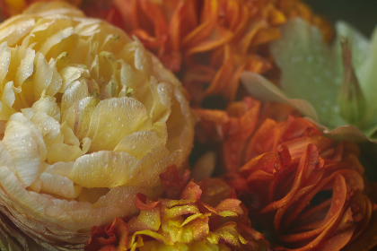 全面解析微博搜索官方网的功能与使用技巧 全面解析微博搜索官方网的功能与使用技巧