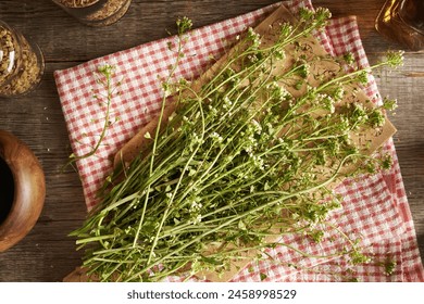 如何将手机屏幕镜像到Firestick设备的详细指南 如何将手机屏幕镜像到Firestick设备的详细指南