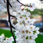 幽默漫画大集合:让你捧腹大笑的搞笑故事 vbci1jko2g