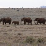 幻想次元兑换码:获取稀有道具的终极秘籍与攻略 wstsm2j