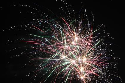 凯特的怪兽遗产:探索神秘生物的奇幻旅程 凯特的怪兽遗产:探索神秘生物的奇幻旅程