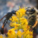 小电影在线观看网站努努:畅享高清影视,尽在指尖的观影体验 zlm31smf