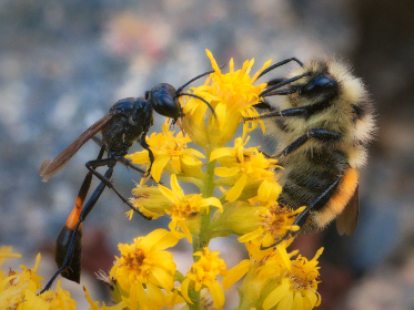 小电影在线观看网站努努:畅享高清影视,尽在指尖的观影体验 小电影在线观看网站努努:畅享高清影视,尽在指尖的观影体验