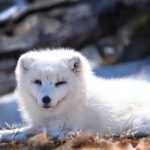 探秘91吃瓜地址:最新热门话题一网打尽 01zx018m9a