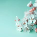 探索达达兔:儿童成长与学习的最佳伙伴 1h26aly8