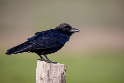 探索18岁以上用户在TikTok上的热门趋势与内容 探索18岁以上用户在TikTok上的热门趋势与内容
