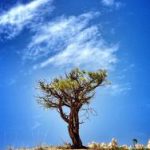 探索ncyh背后的意义与应用前景 6viejls