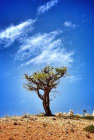 探索ncyh背后的意义与应用前景 探索ncyh背后的意义与应用前景