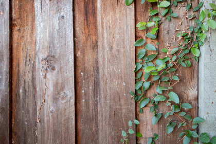 探索原神同人作品的18禁网站推荐与分享 探索原神同人作品的18禁网站推荐与分享