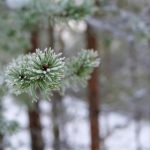 探索原神中的奇幻世界:全面解析游戏本质与玩法 eilv7rg1h