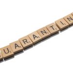 探索帝王导航页:开启您的智慧之旅 kv8e7l