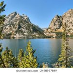 探索日本热门字幕下载网站,轻松获取影视资源 x6xvet2